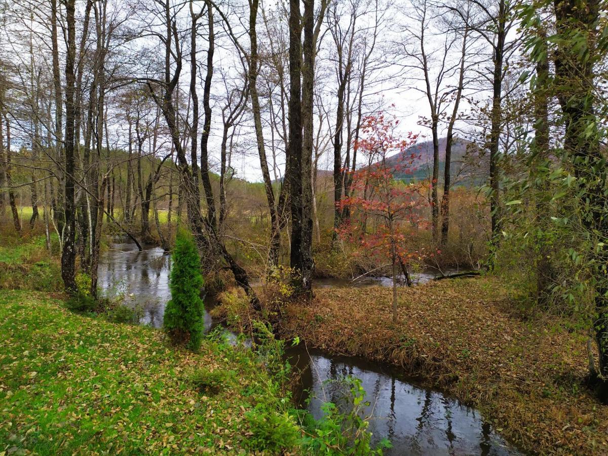 Vodenica Vrelo Chalets Vrelo Koreničko Dış mekan fotoğraf