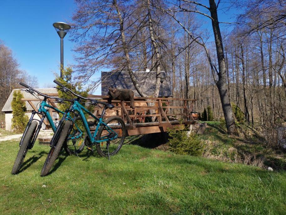 Vodenica Vrelo Chalets Vrelo Koreničko Dış mekan fotoğraf