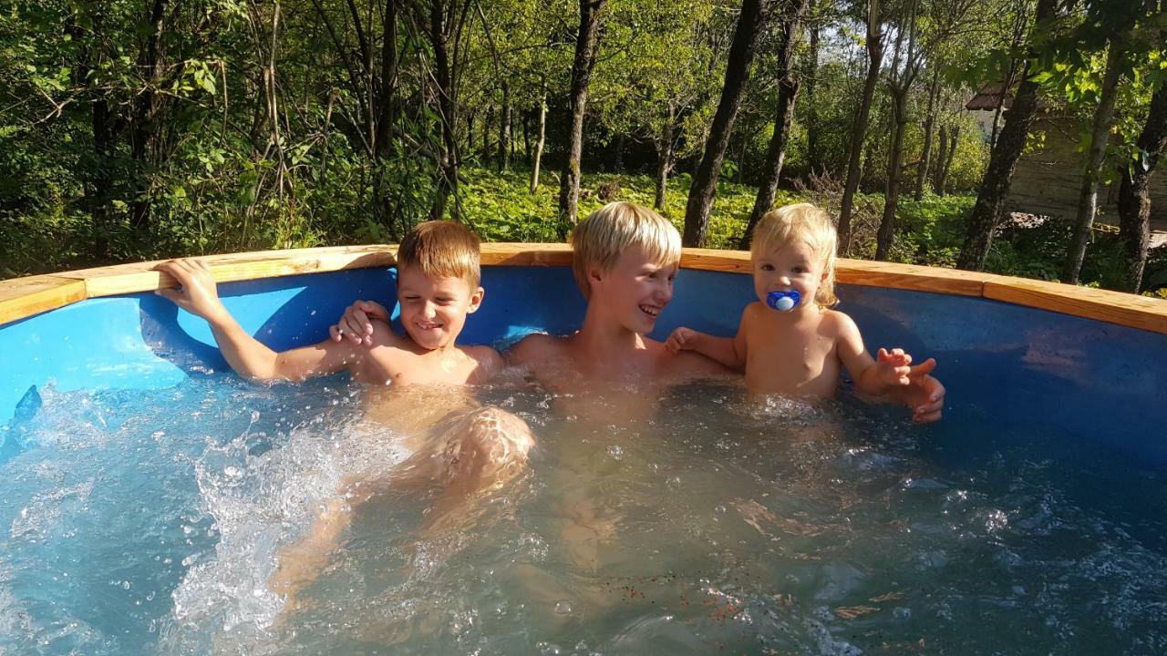 Vodenica Vrelo Chalets Vrelo Koreničko Dış mekan fotoğraf