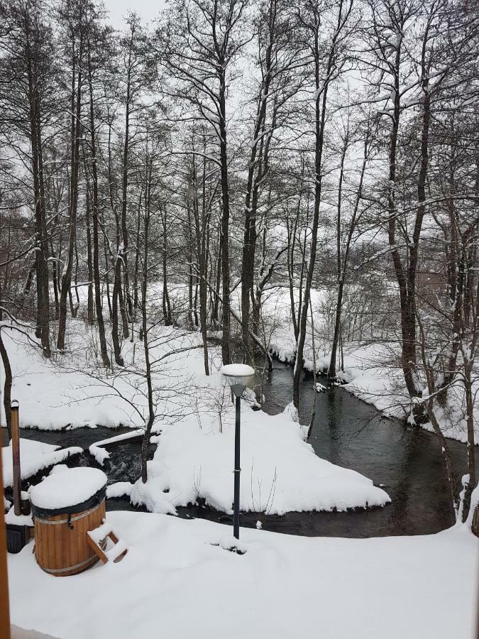 Vodenica Vrelo Chalets Vrelo Koreničko Dış mekan fotoğraf