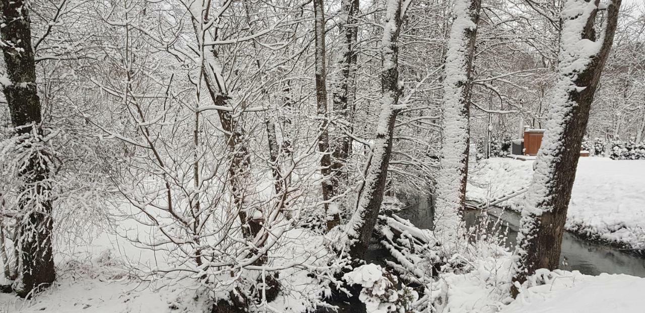 Vodenica Vrelo Chalets Vrelo Koreničko Dış mekan fotoğraf